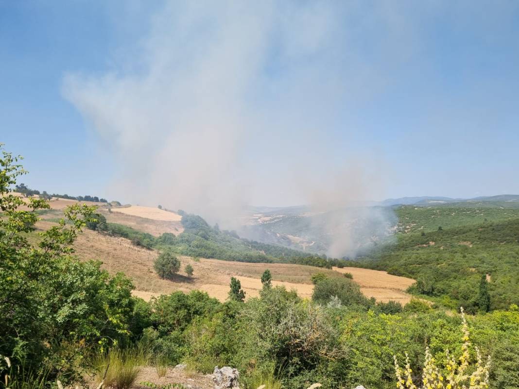 Balıkesir'de orman yangını! Karadan ve havadan müdahale ediliyor 6
